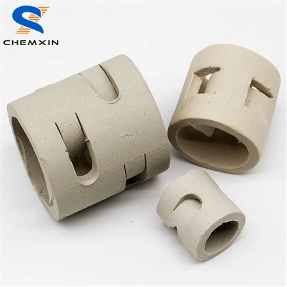 50mm Ceramic Pall Ring Random Packing Hot Selling Ceramic Pall Ring in Middle East